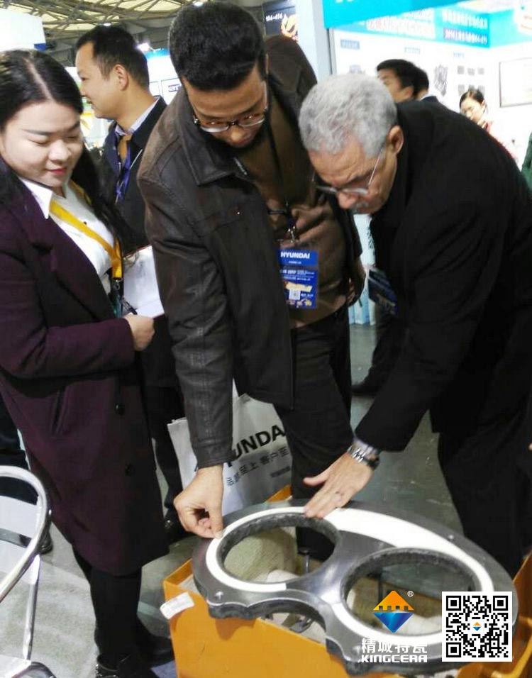 东升国际上海宝马展